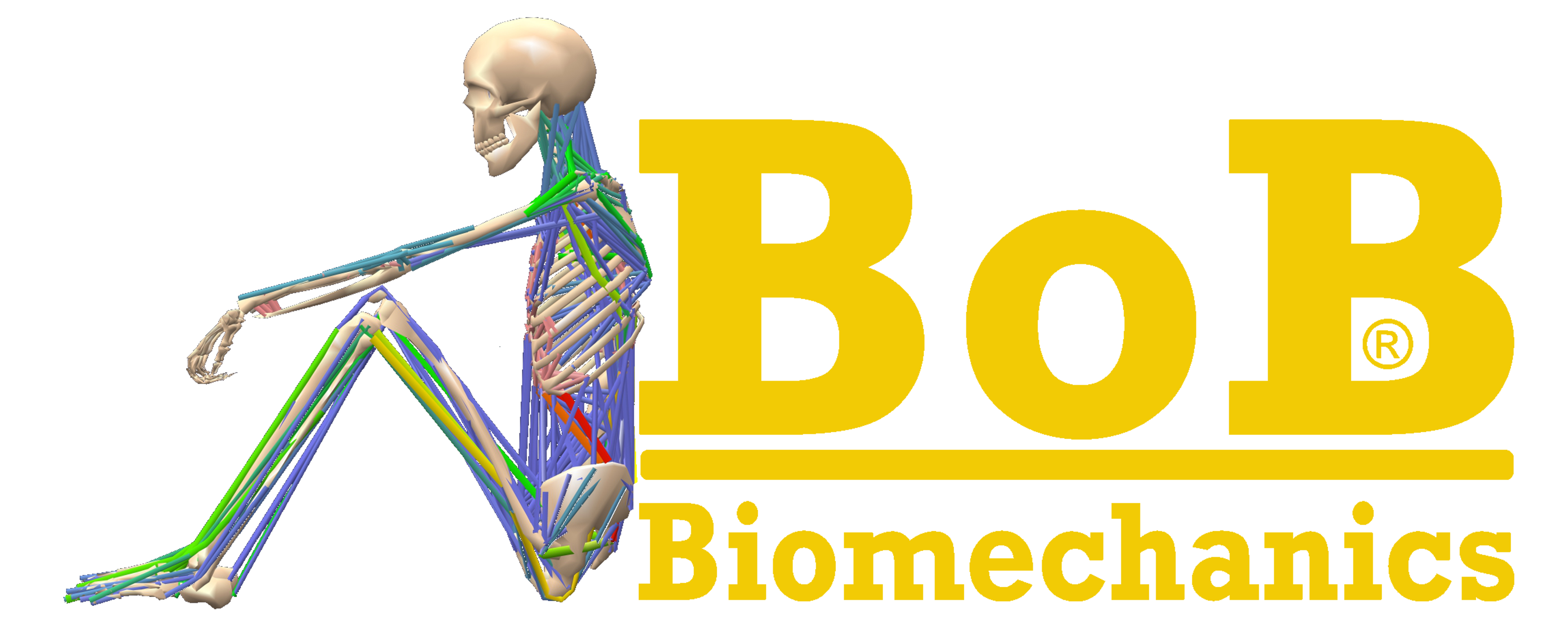 Bob biomechanics logo